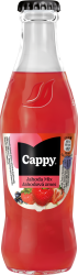 Cappy Jahoda Mix 24x250ml